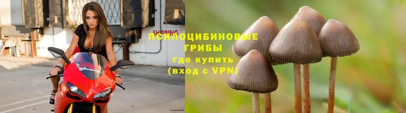 Галлюциногенные грибы ЛСД  Безенчук 